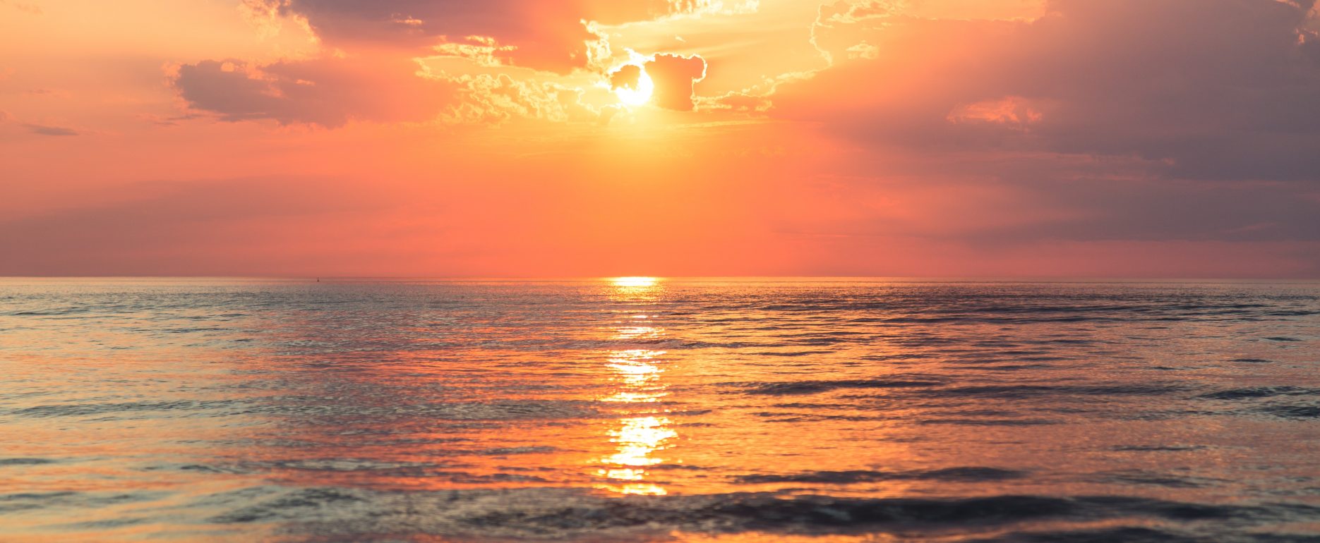 sebastien-gabriel--IMlv9Jlb24-unsplash